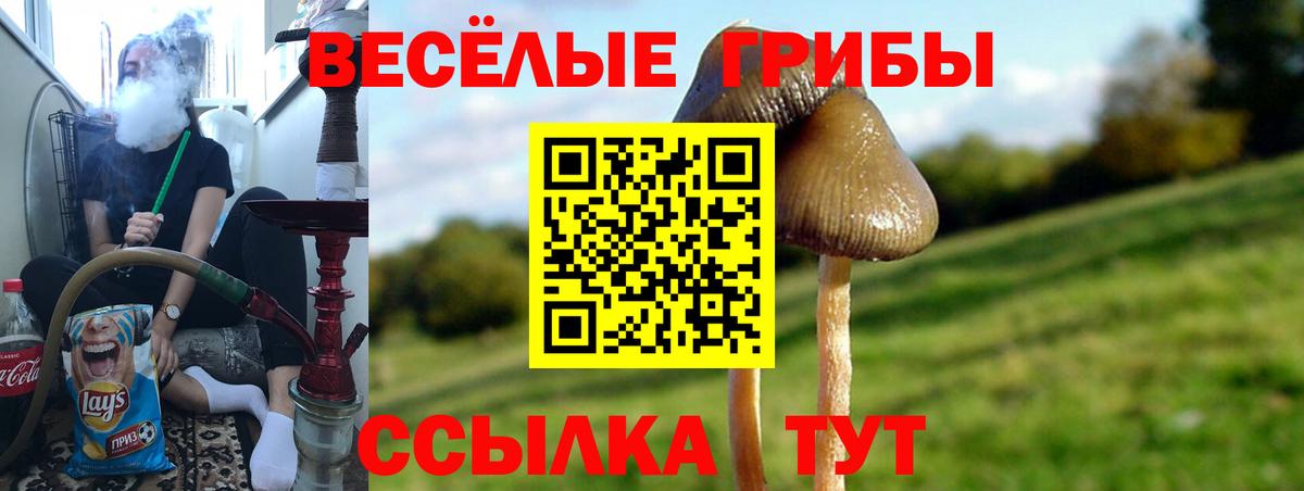 Псилоцибиновые грибы мухоморы  Вход с VPN  Усть-Джегута 